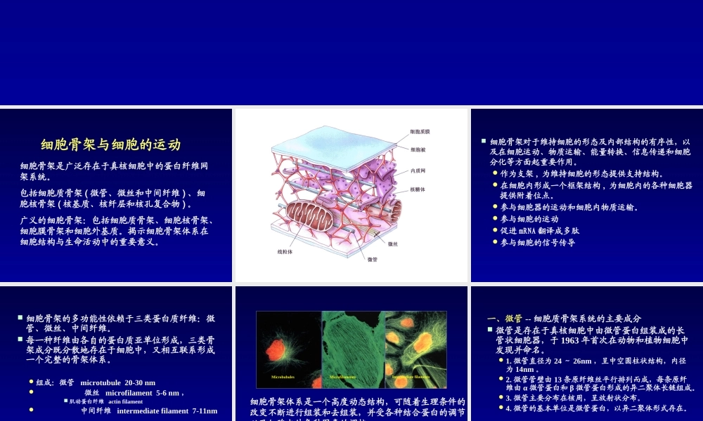 包括细胞质骨架微管微丝和中间纤维.ppt
