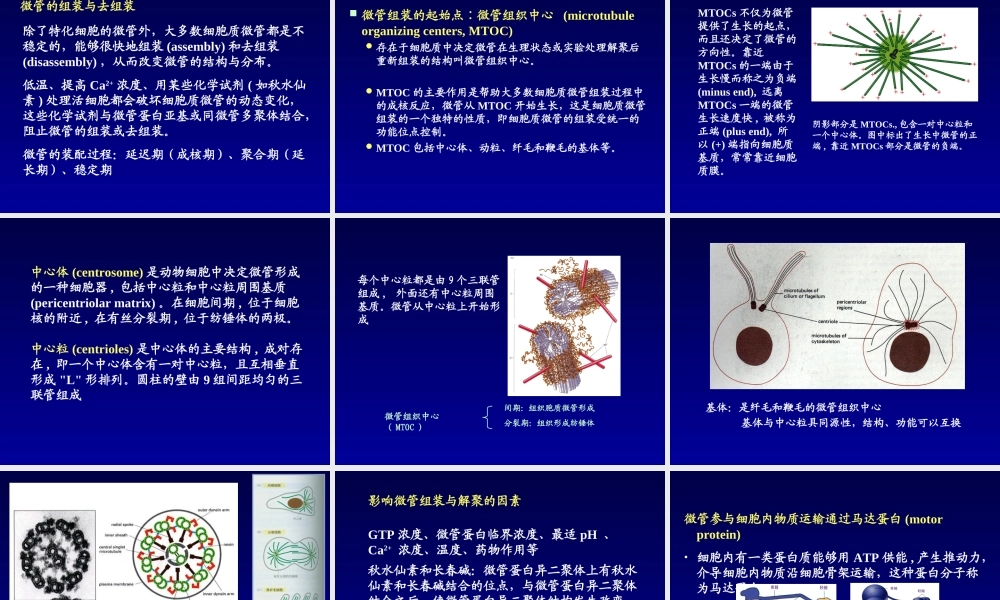 包括细胞质骨架微管微丝和中间纤维.ppt