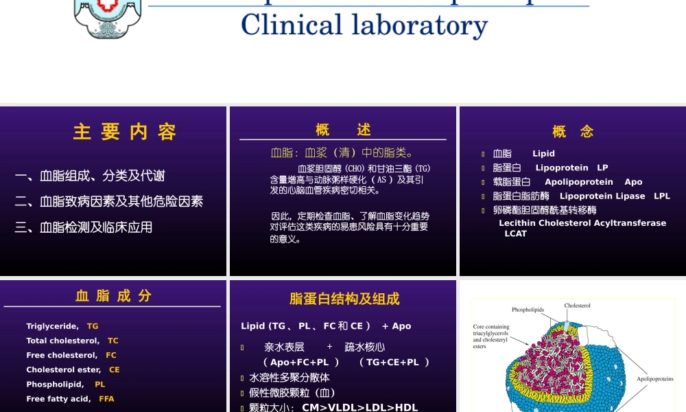 北医八年制血脂2014.ppt