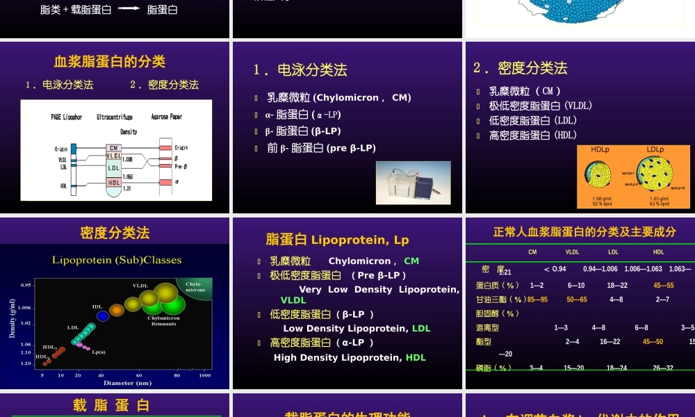 北医八年制血脂2014.ppt