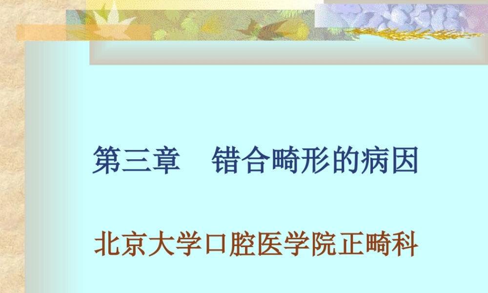 北医正畸-第3章--错合畸形的病因.ppt