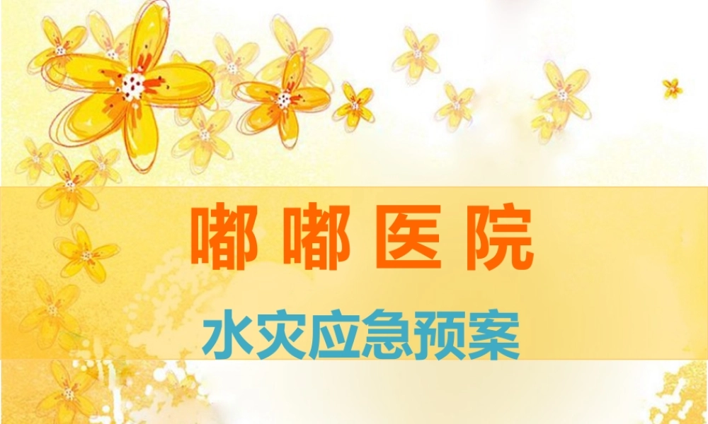 医院水灾应急预案.ppt