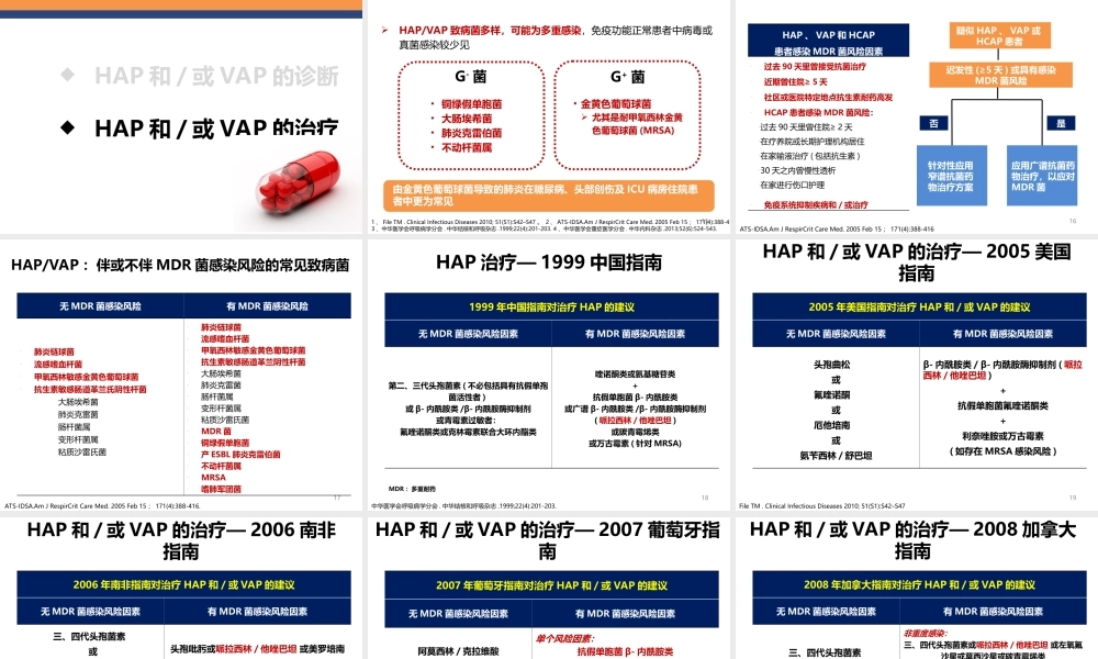 医院获得性肺炎(HAP)诊治指南最新综述(精).ppt