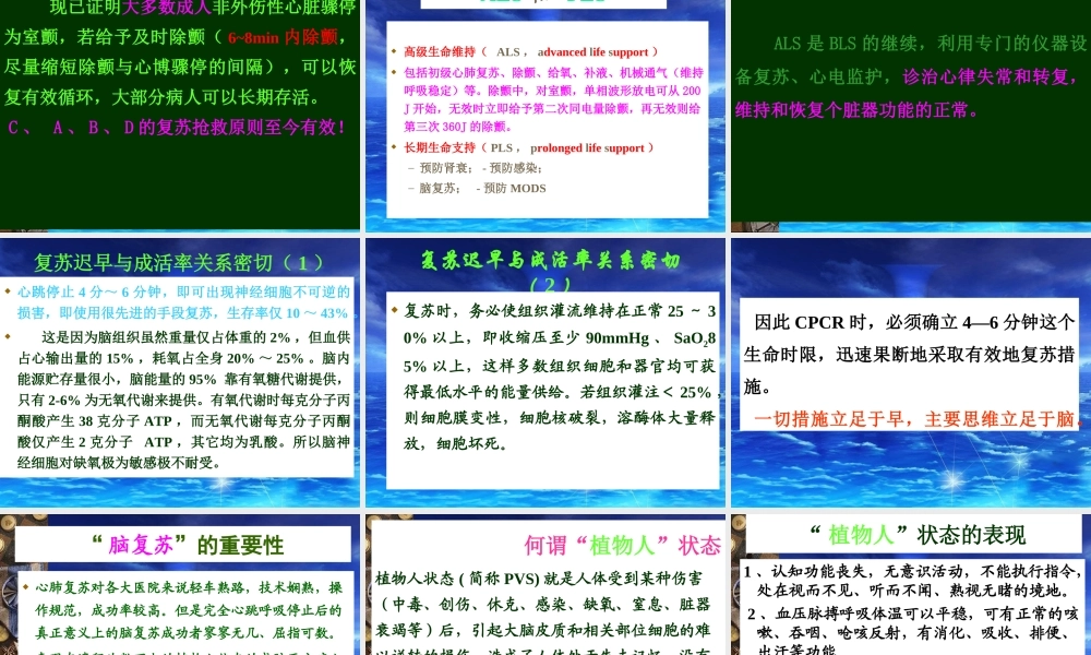 医院讲稿：心肺脑复苏.ppt