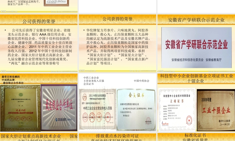 华佗国药广东连锁.ppt