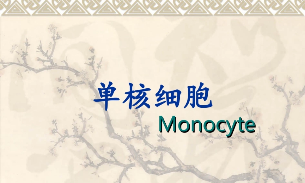 单核细胞.ppt