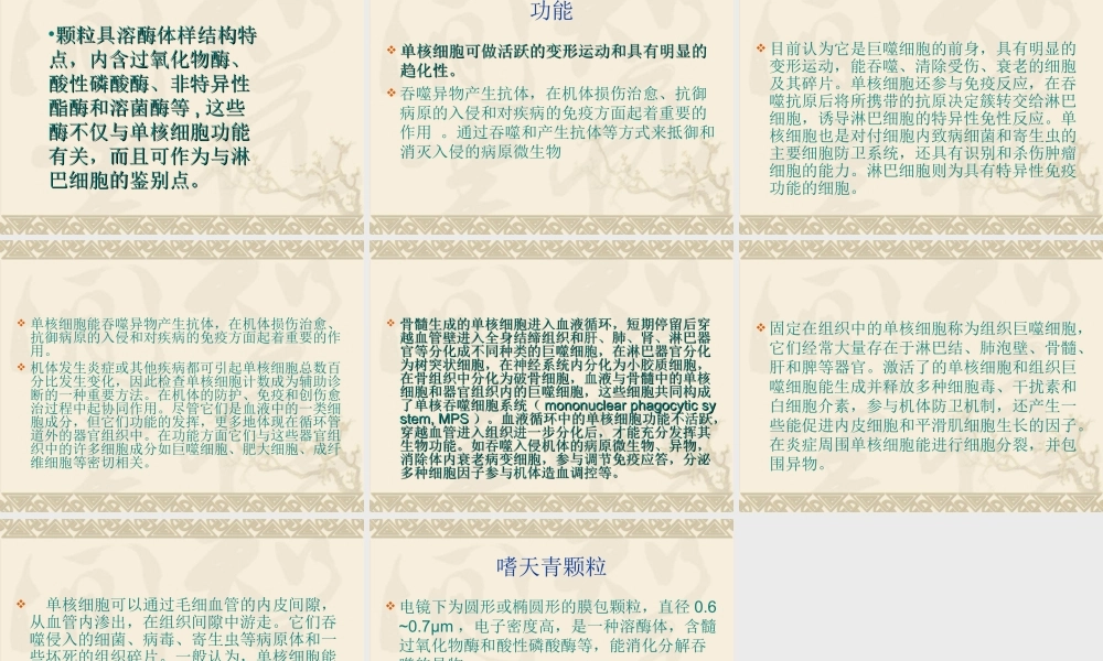 单核细胞.ppt