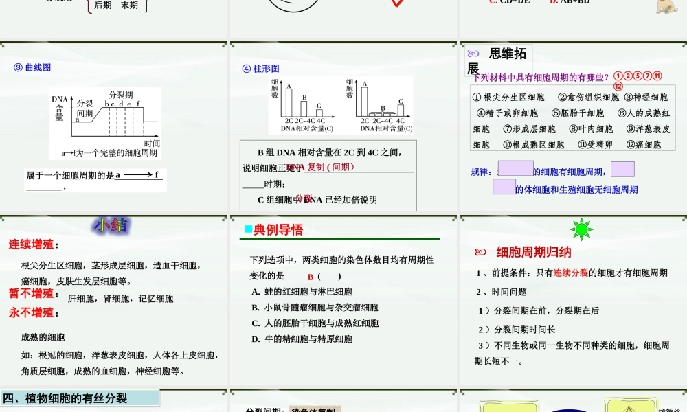 原创3：细胞的增殖.pptx