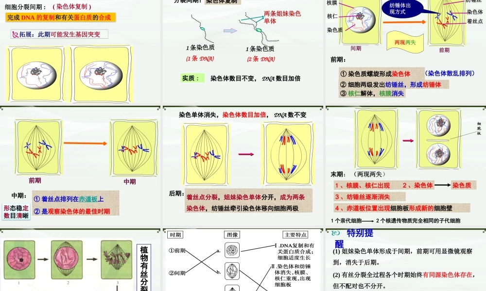 原创3：细胞的增殖.pptx
