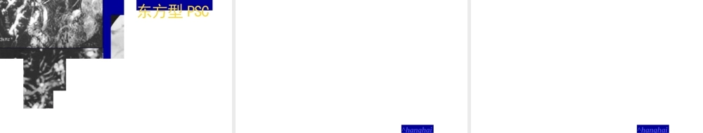 原发性硬化性胆管炎.pptx