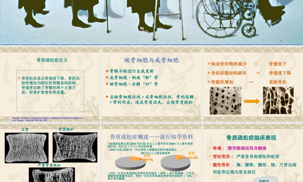 原发性骨质疏松症的诊治及康复.ppt