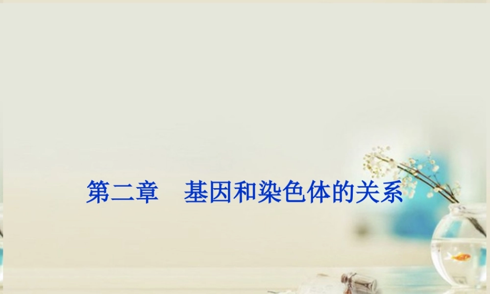 原始生殖细胞分裂的结果是产生生殖细胞.ppt