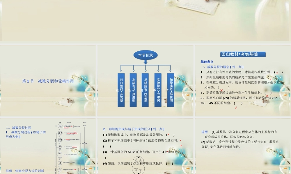 原始生殖细胞分裂的结果是产生生殖细胞.ppt