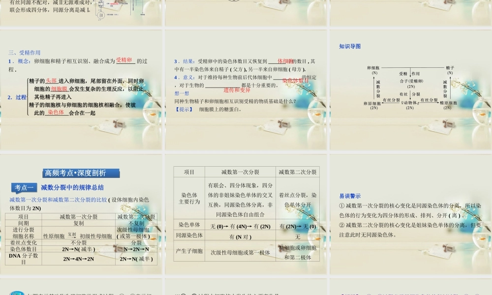 原始生殖细胞分裂的结果是产生生殖细胞.ppt