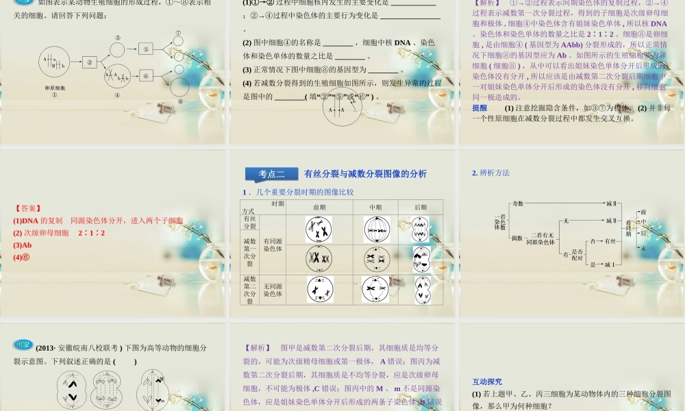 原始生殖细胞分裂的结果是产生生殖细胞.ppt