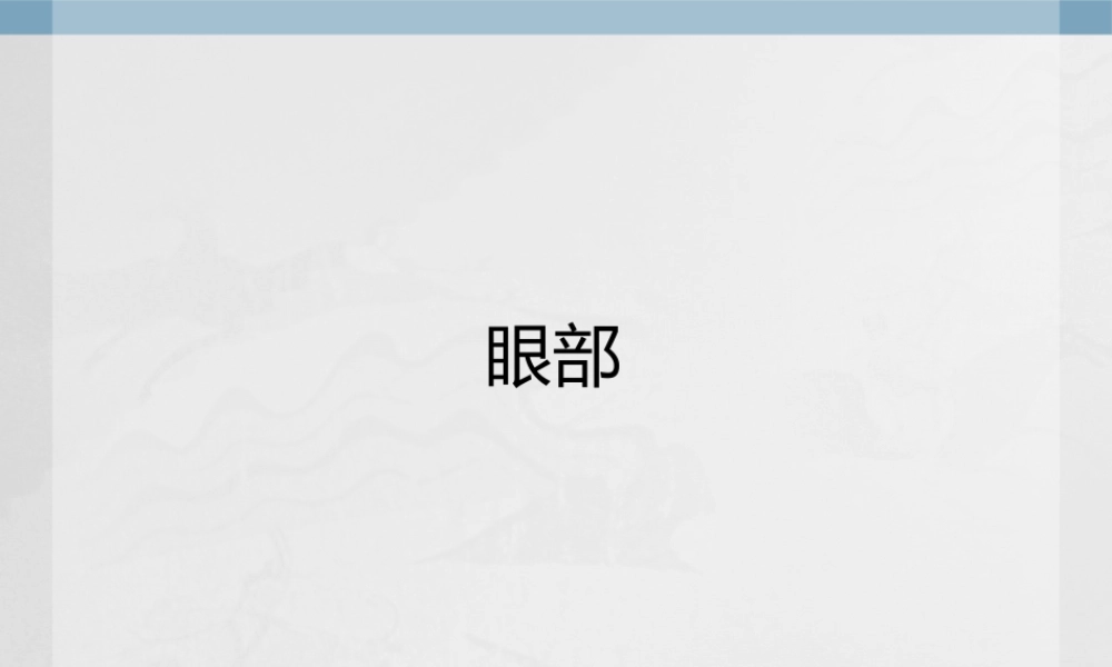 原辰整形外科韩国6.pptx