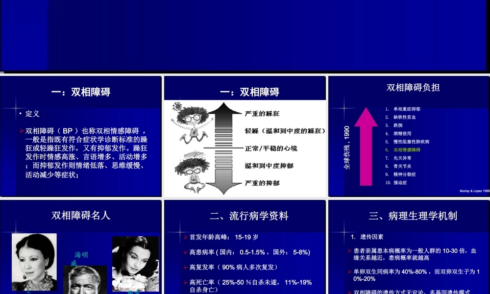 双相障碍精品PPT.ppt