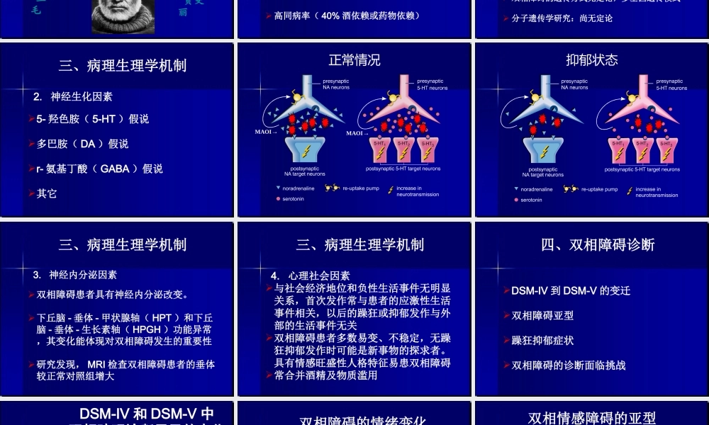 双相障碍精品PPT.ppt