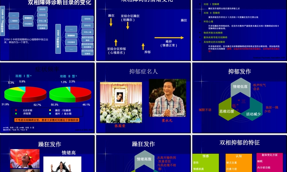双相障碍精品PPT.ppt