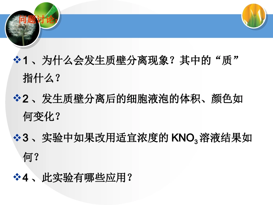 物质进出细胞的方式.ppt_第2页