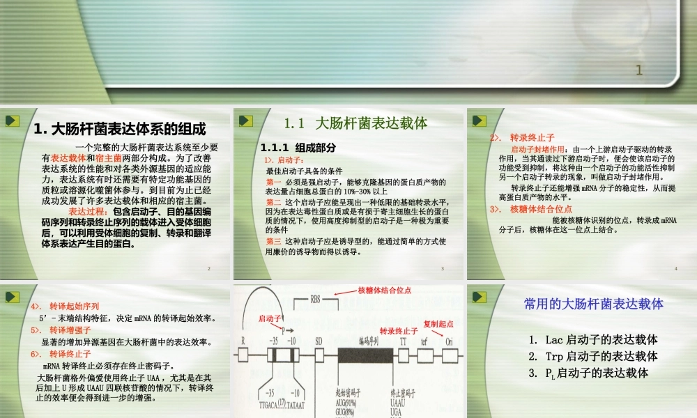 大肠杆菌表达系统详细表格.ppt