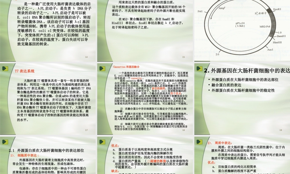 大肠杆菌表达系统详细表格.ppt