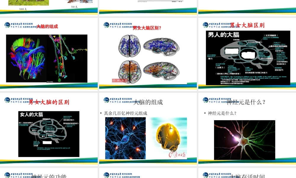 大脑是如何工作的？.ppt