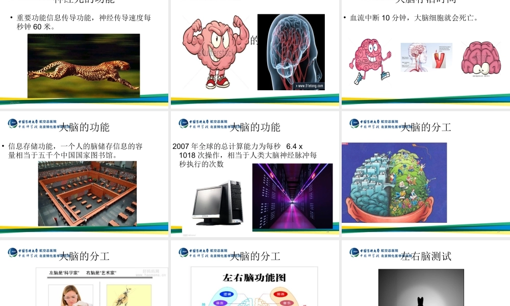 大脑是如何工作的？.ppt