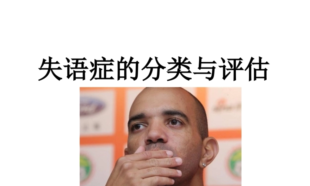 失语症分类和评估.ppt