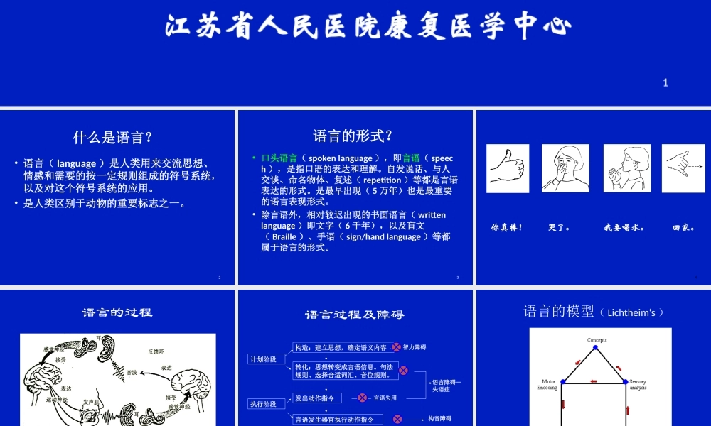 失语症概述-单春雷剖析.ppt