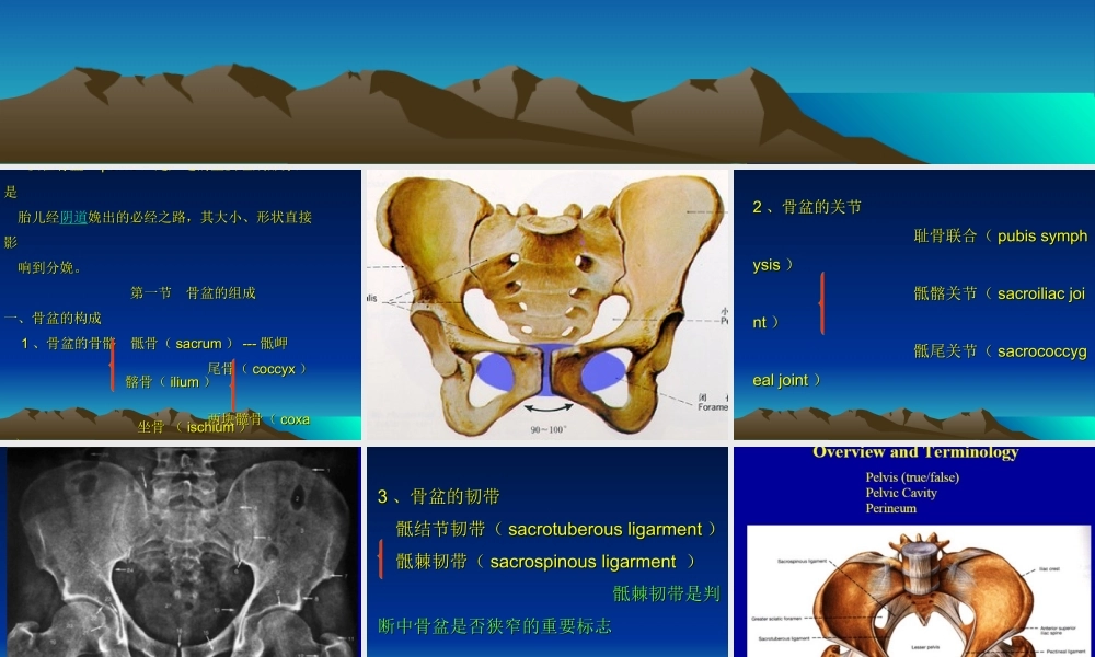 女性骨盆是产道的重要组成部分-.ppt