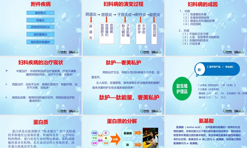 妇科病的种类.ppt