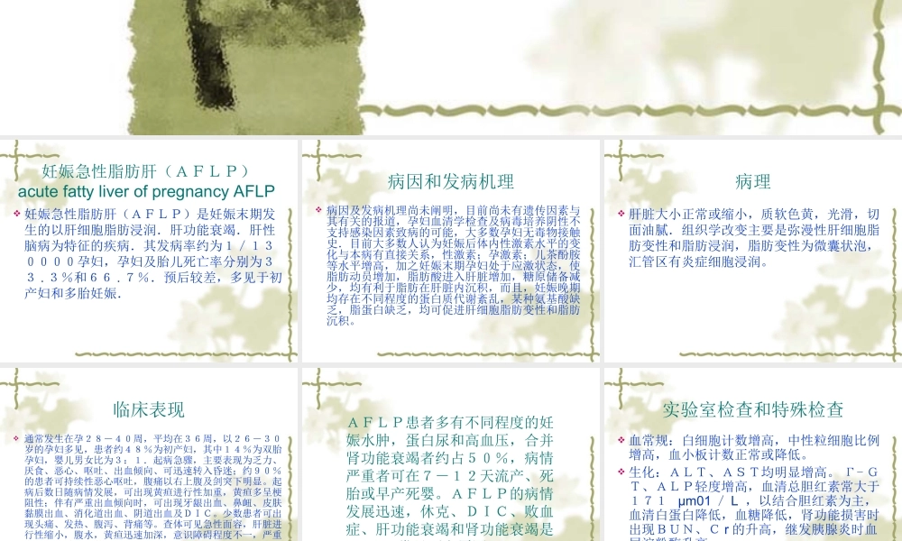 妊娠急性脂肪肝.ppt