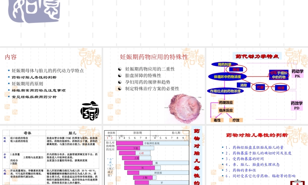 妊娠期用药原则.ppt