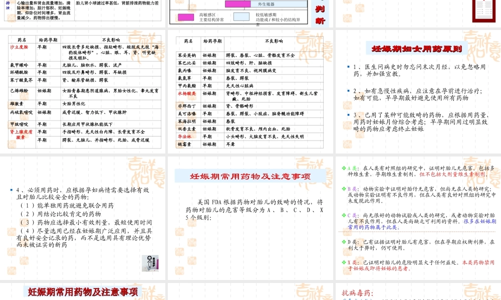 妊娠期用药原则.ppt