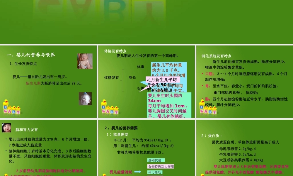 婴幼儿的营养与膳食.ppt