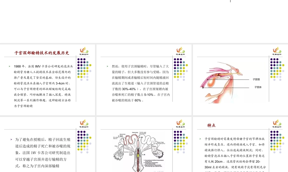 子宫深部输精.pptx