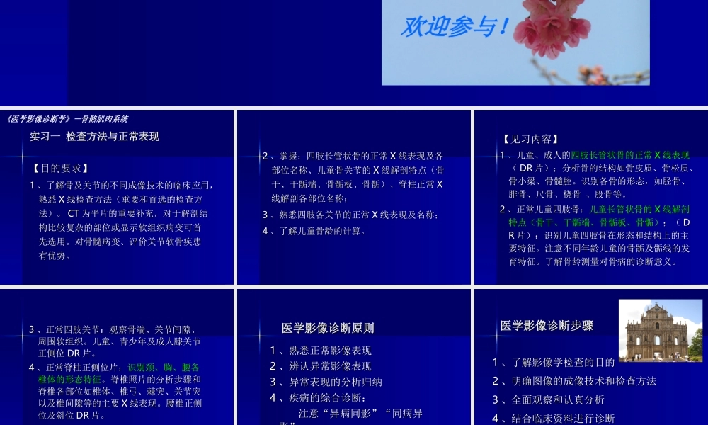 实习1---骨与关节正常表现.ppt