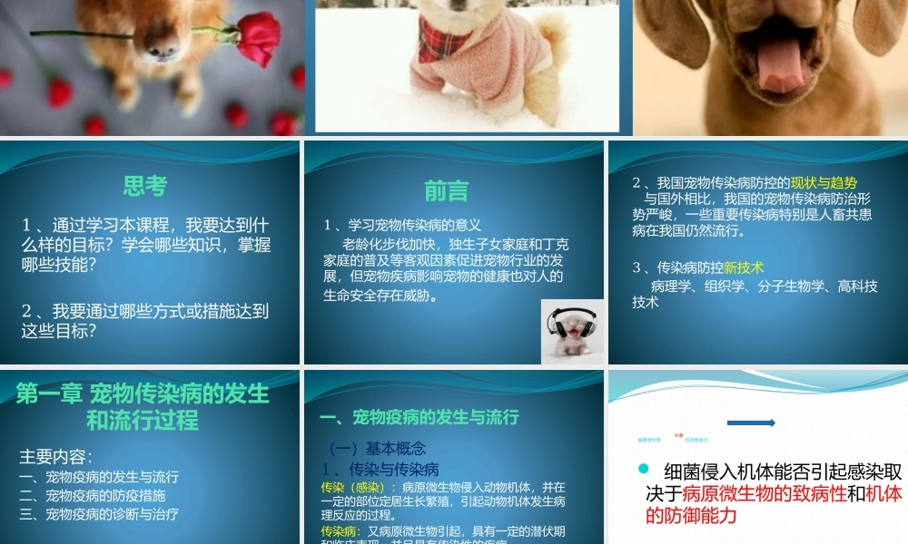 宠物传染病概述.pptx