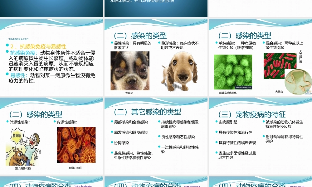 宠物传染病概述.pptx