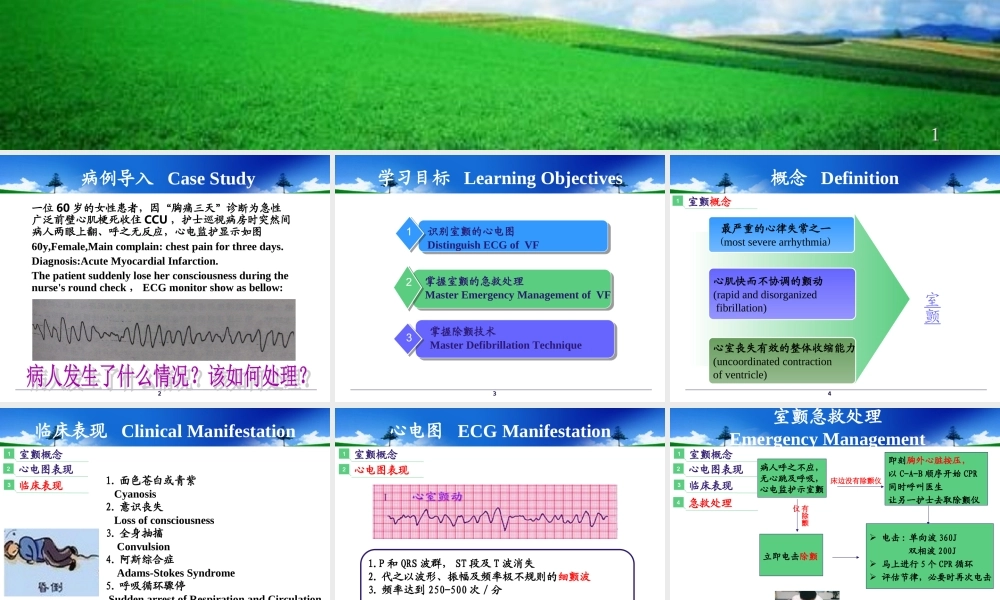 室颤与急救.ppt