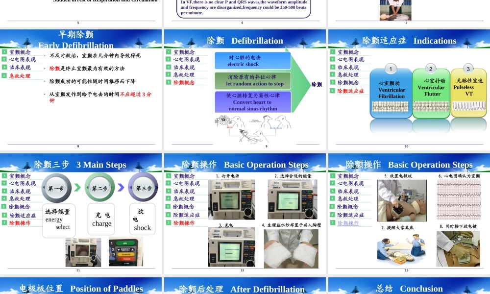室颤与急救.ppt