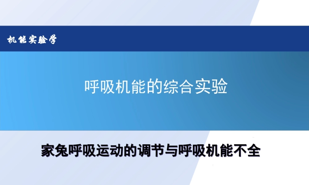 家兔呼吸运动的调节与呼吸机能不全.ppt