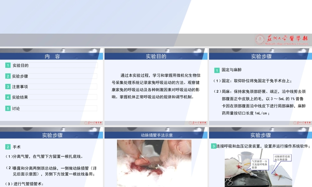 家兔呼吸运动的调节与呼吸机能不全.ppt