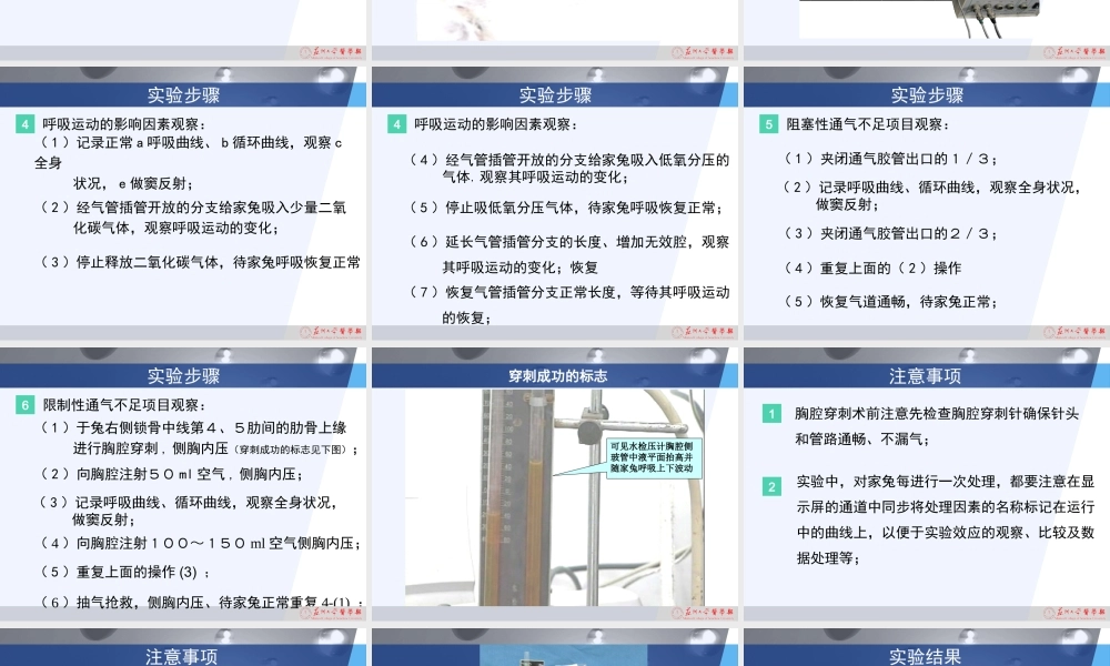 家兔呼吸运动的调节与呼吸机能不全.ppt