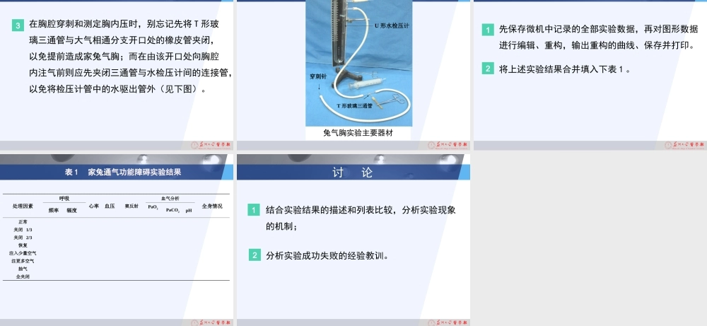 家兔呼吸运动的调节与呼吸机能不全.ppt