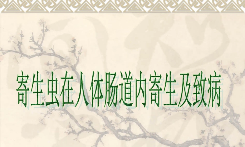 寄生虫在肠道的寄生部位与致病.ppt