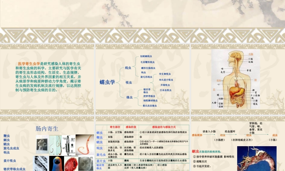 寄生虫在肠道的寄生部位与致病.ppt