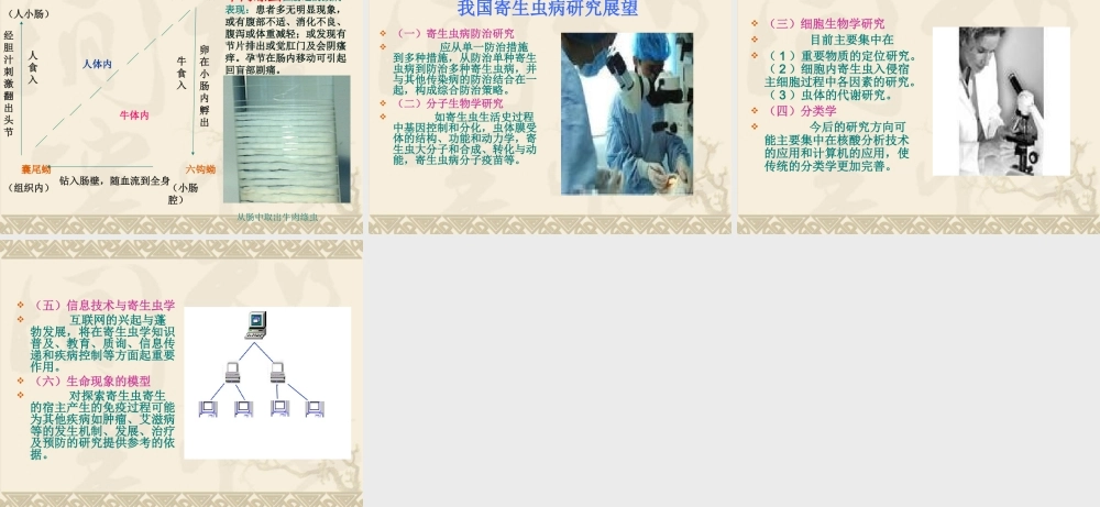 寄生虫在肠道的寄生部位与致病.ppt