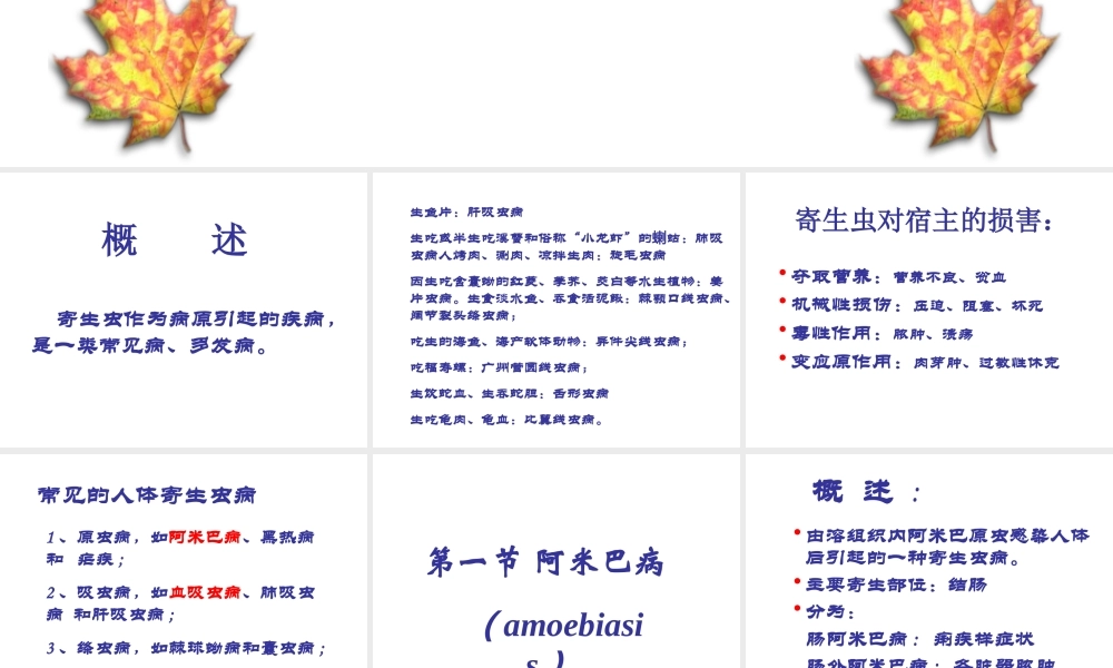 寄生虫病(13).ppt